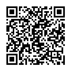 听了她在这些机器人身上的留言才知道她已经不在了……二维码生成