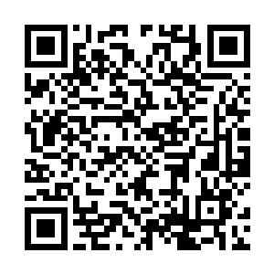 听了孙悟空的话便又拉上了同为截教门人的二十八星宿二维码生成