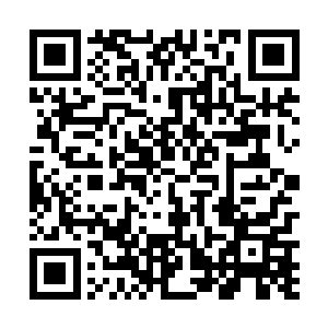 听了汪大锤的话语我是只感他的话治好了我多年的耳聋二维码生成