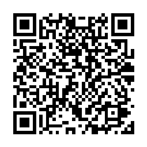 听五位结拜哥哥讲起过许许多多跟黑鳖精有关传闻二维码生成