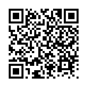 听从风大人号令前来拿人的龙族高手二维码生成