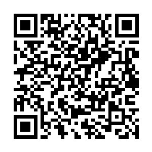 听到动静正准备去前殿的千儿和雪儿赶紧过来行礼二维码生成