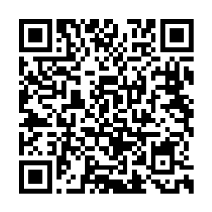 听到消息之后的农长老和陈世方二人是满脸喜色二维码生成