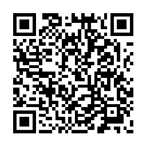 听到消息的上林村老支书杨小东拄着拐杖就来了二维码生成