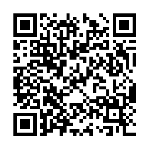 听到眼前这个金发碧眼的混蛋居然这么瞧不起自己二维码生成