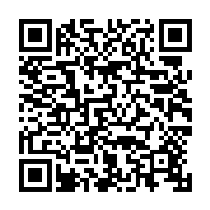 听到这个声音的时候夏青和那个司机的后背全都流出了冷汗二维码生成
