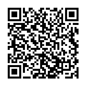 听到这话的几个北冥世家的老一辈人心中有了一丝不祥的预感二维码生成