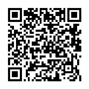 听到逍遥天尊的话之后龙傲天顿时也是勃然大怒二维码生成