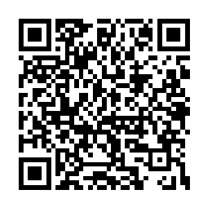 听到龙傲天的话之后几个人也是满脸惊骇的说道二维码生成