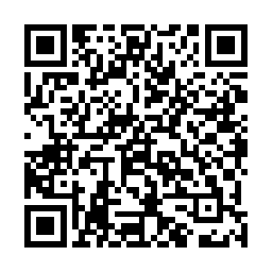 听到龙傲天的话之后几个人也都是翻了一个白恢复了正常二维码生成