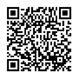 听右沁说是因为阿元你给五郎君准备的随身物品五郎君忘记带二维码生成