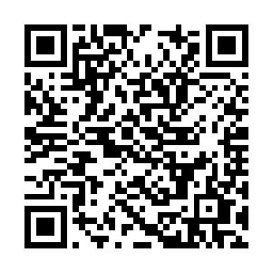 听得专心致志的忻娘一齐给了他个一模一样的鬼脸二维码生成