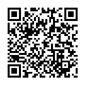 听来却也并不像是魏定国最为擅长的子午掌心雷二维码生成