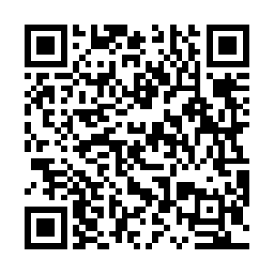 听炎黄部落的女人们说到种植的事情她就十分的感兴趣二维码生成