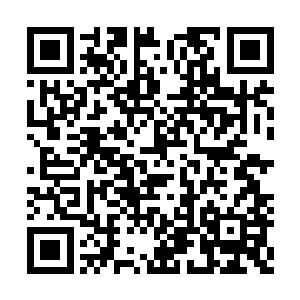 听的包括凌菲在内的几个人心里都有点不太好受二维码生成