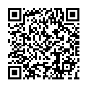 听着喋喋不休的各种冷酷无情没人味的分析解释二维码生成