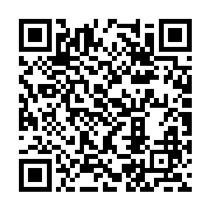 听着老马特不断的用着上帝给予的礼物形容着孩子二维码生成