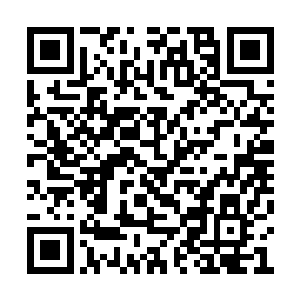 听见那个老头儿与酒肉和尚道常两个在高声讨论二维码生成