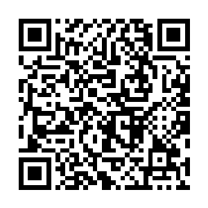 听说你身中十七刀还能硬挺着干掉对方头目再去医院……二维码生成