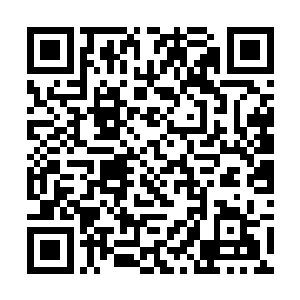 听说你那废物弟弟是因为一个女生和他交恶才被打的二维码生成