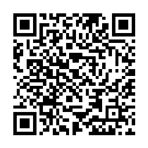 听说先前你们猎海联盟不是跟一个叫吴岩的战队令主二维码生成