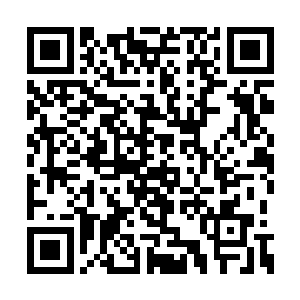 听说北界千周国的神射会射那种几里追踪的箭法二维码生成