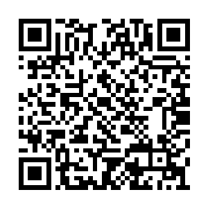 听说天魔大人和魔王大人们已经在修真界行动了二维码生成