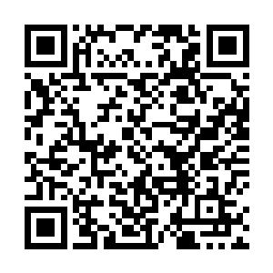 听说掌门师叔祖竟然被云龙区公安分局的人给抓了起来二维码生成