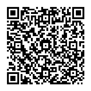 听说是他找到了什么……什么通道……反正现在外面的现实世界也变得……怎么说呢二维码生成