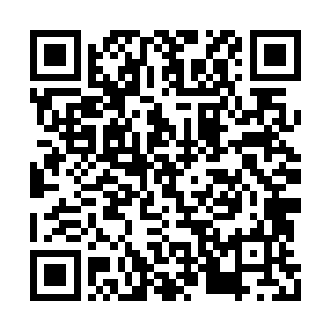 听说这个地方还是一处大门阀叶家的大后方基地二维码生成