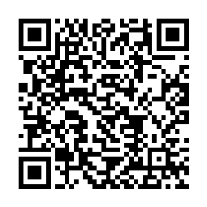 听说这层结界是当年大周王国的那名护国大师留下的二维码生成