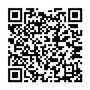 听说那些女骑士的脸一辈子只能给她们的父亲和丈夫看二维码生成