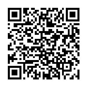 听说那远在北平府的晋王府邸奢华程度堪比京师皇城二维码生成