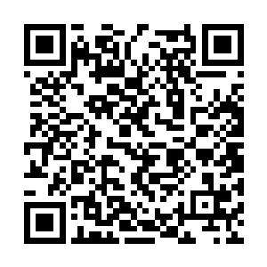 听说鞑靼和胡人的兵马已在木图河对岸集结起来了二维码生成