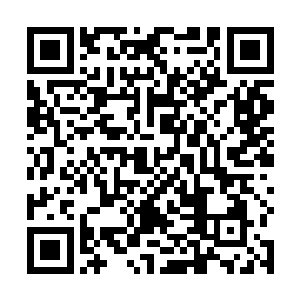 听说领主大人他受到了偷袭……究竟是谁在和我们作对二维码生成