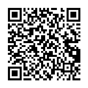 听说马文要以追随者的名义和他的弟弟一同参加比赛二维码生成