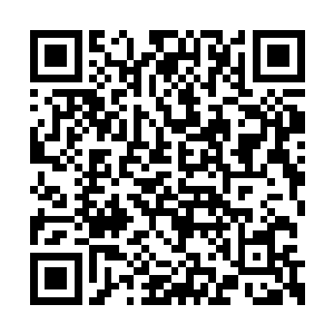 听谢一鸣后妈和谢一鸣同父异母弟弟的对话继续二维码生成