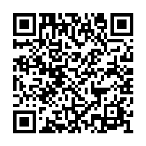 听贝海解释顺带着发了一通牢骚之后黎未未说道二维码生成