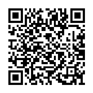 听起来也和她曾经看过的一些修真小说不大一样二维码生成