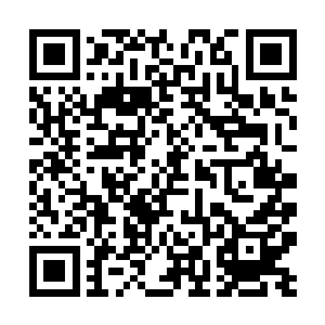 听起来倒是挺威风的――可是这女人到底是什么来头二维码生成