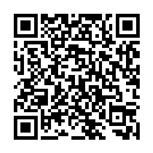 听起来陆大先生距离天仙不远矣……孟奇若有所思想着二维码生成