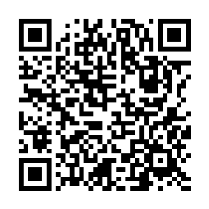 听这话的意思是说有人从那妖帝手中抢走它的某样宝物二维码生成