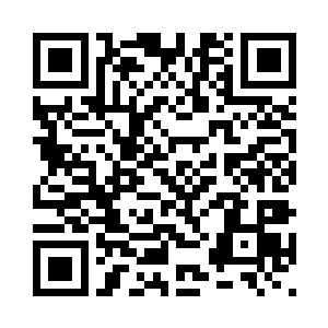 启护法的目光中明显带着几分惧意二维码生成