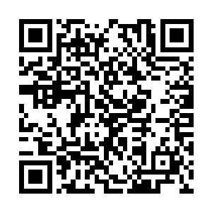 吴东方在孙世元没有表态前先提出孙世元的妻弟来二维码生成