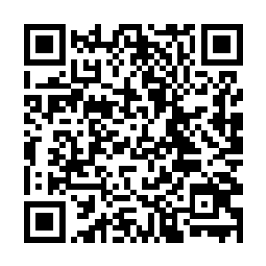 吴伟民也沒有从其他渠道得知赵长枪已经被放出來了二维码生成