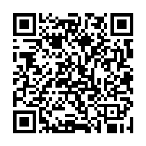 吴倩倩的那颗灵药虽然年份不如云逸背筐之中的人参二维码生成