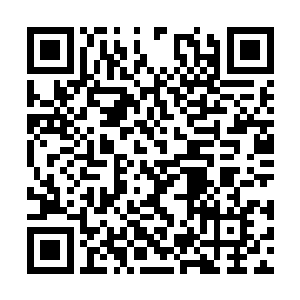 吴凡这时候正好给了童欣一个愚蠢透顶的轻蔑眼神二维码生成