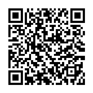 吴厅长很喜欢在交通厅旁边的一家海鲜酒楼吃饭二维码生成