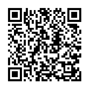 吴天和刘毅松都不能理解边学道为什么这么下血本招保安二维码生成