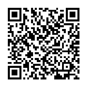 吴天的第一感觉就是他们进入到了一个幻境的世界二维码生成